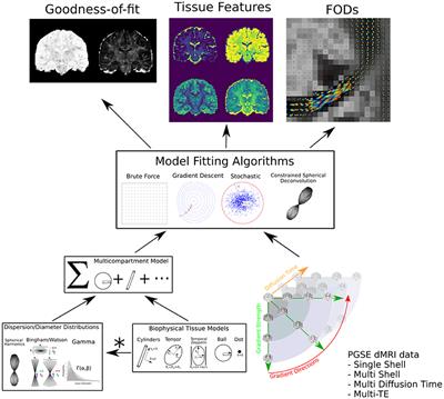 The Dmipy Toolbox: Diffusion MRI Multi-Compartment Modeling and Microstructure Recovery Made Easy